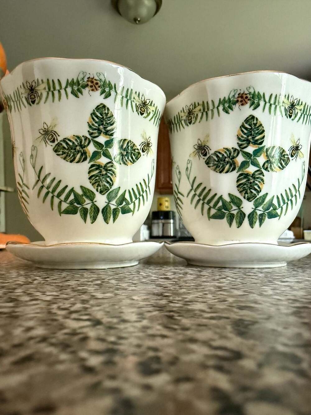 Set of 2 Vintage Porcelain Botanical Bee and Fern Planters with Saucers
